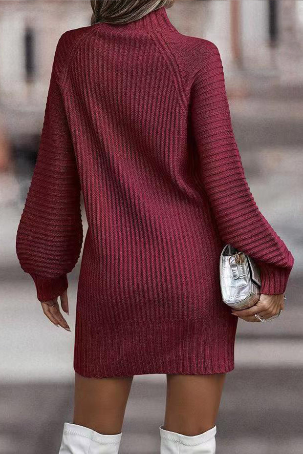 Women's Long Sleeve Turtleneck Knitted Sweater Dress