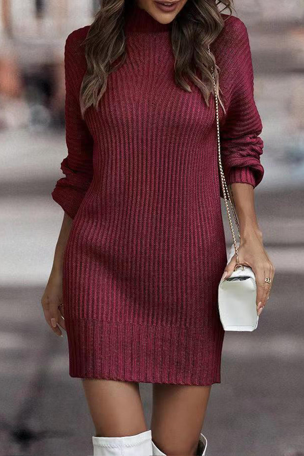 Women's Long Sleeve Turtleneck Knitted Sweater Dress