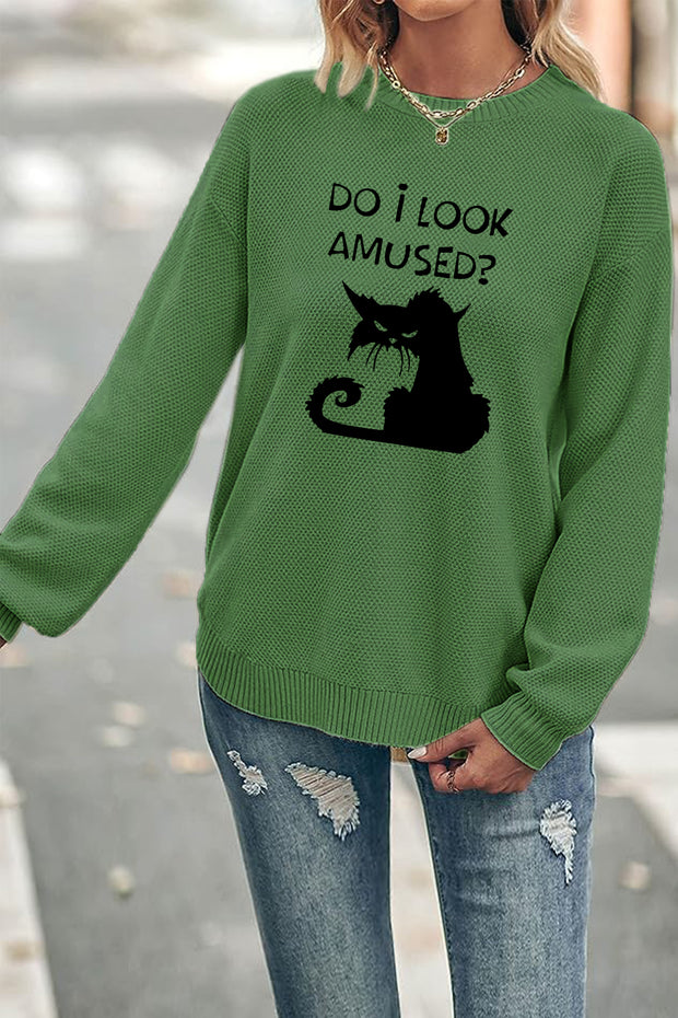 DO I LOOK AMUSED?'Crew Neck Waffle Pullover Jumper Sweater